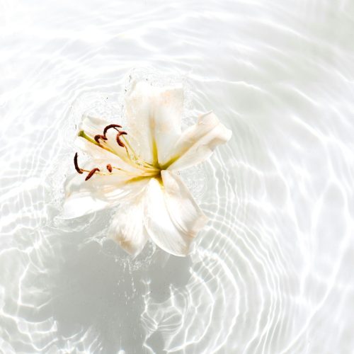 evie-s-cmbbwn-2Ilw-unsplash