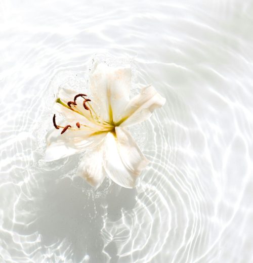 evie-s-cmbbwn-2Ilw-unsplash
