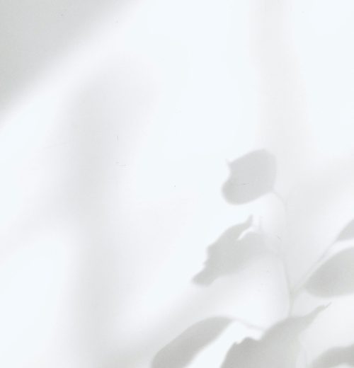 milad-fakurian-GAnCCU7mqIU-unsplash